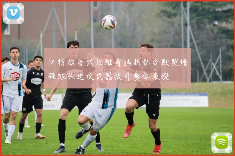 怀特称与武切维奇挡拆配合默契增强球队进攻武器提升整体表现
