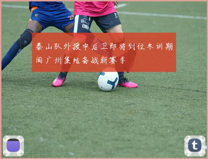 泰山队外援中后卫即将到位冬训期间广州集结备战新赛季